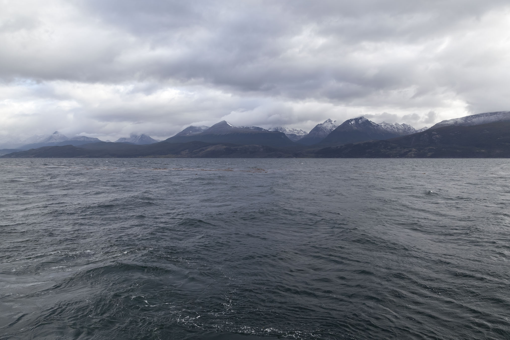 Beagle Channel Cruise