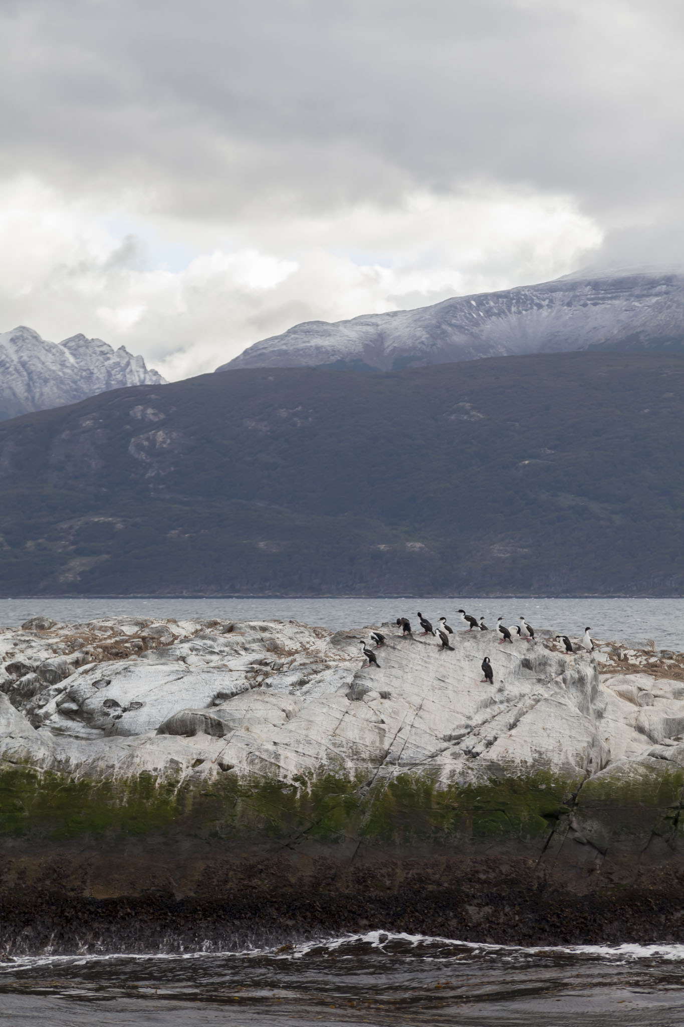 Beagle Channel Cruise