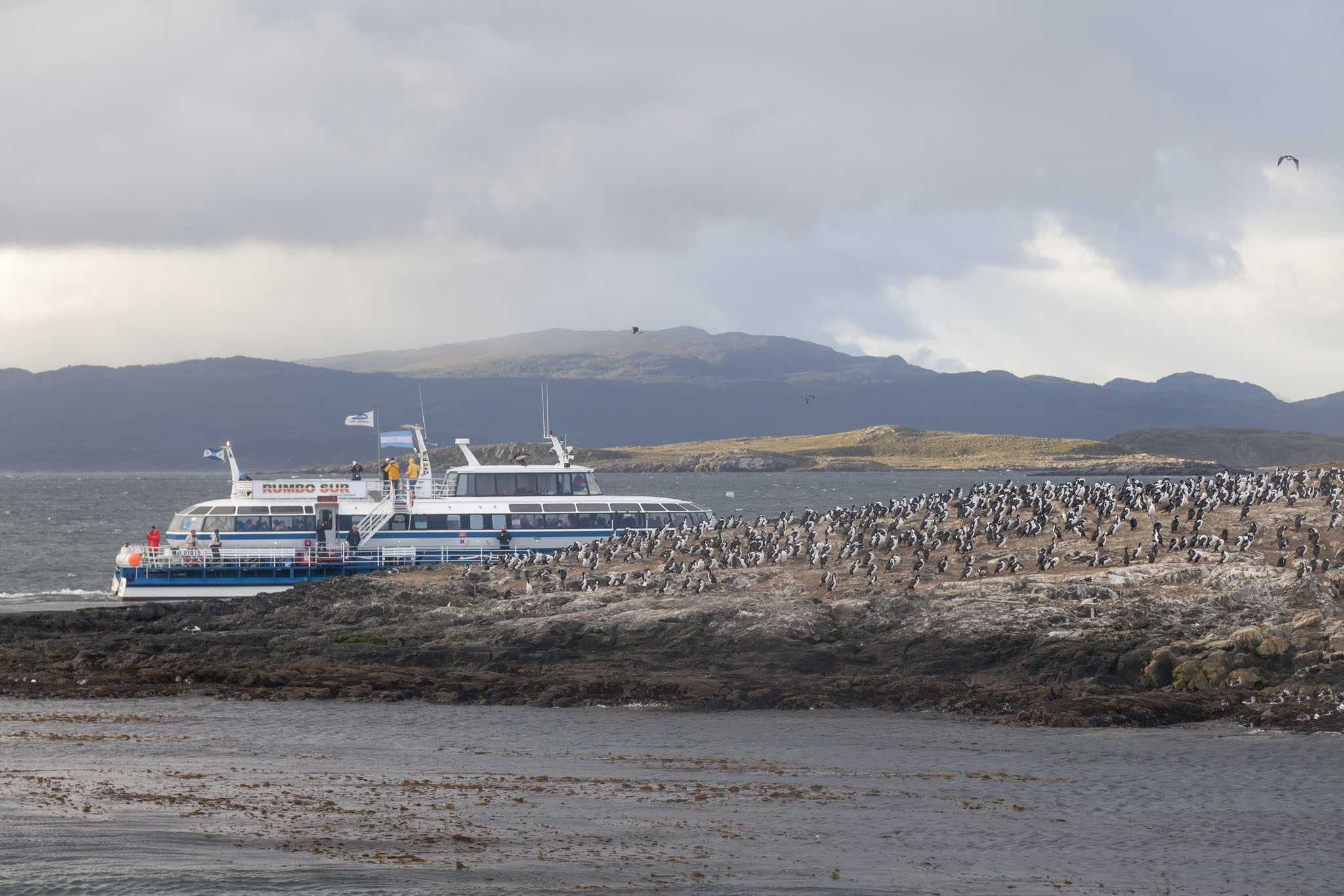 Beagle Channel Cruise Boat