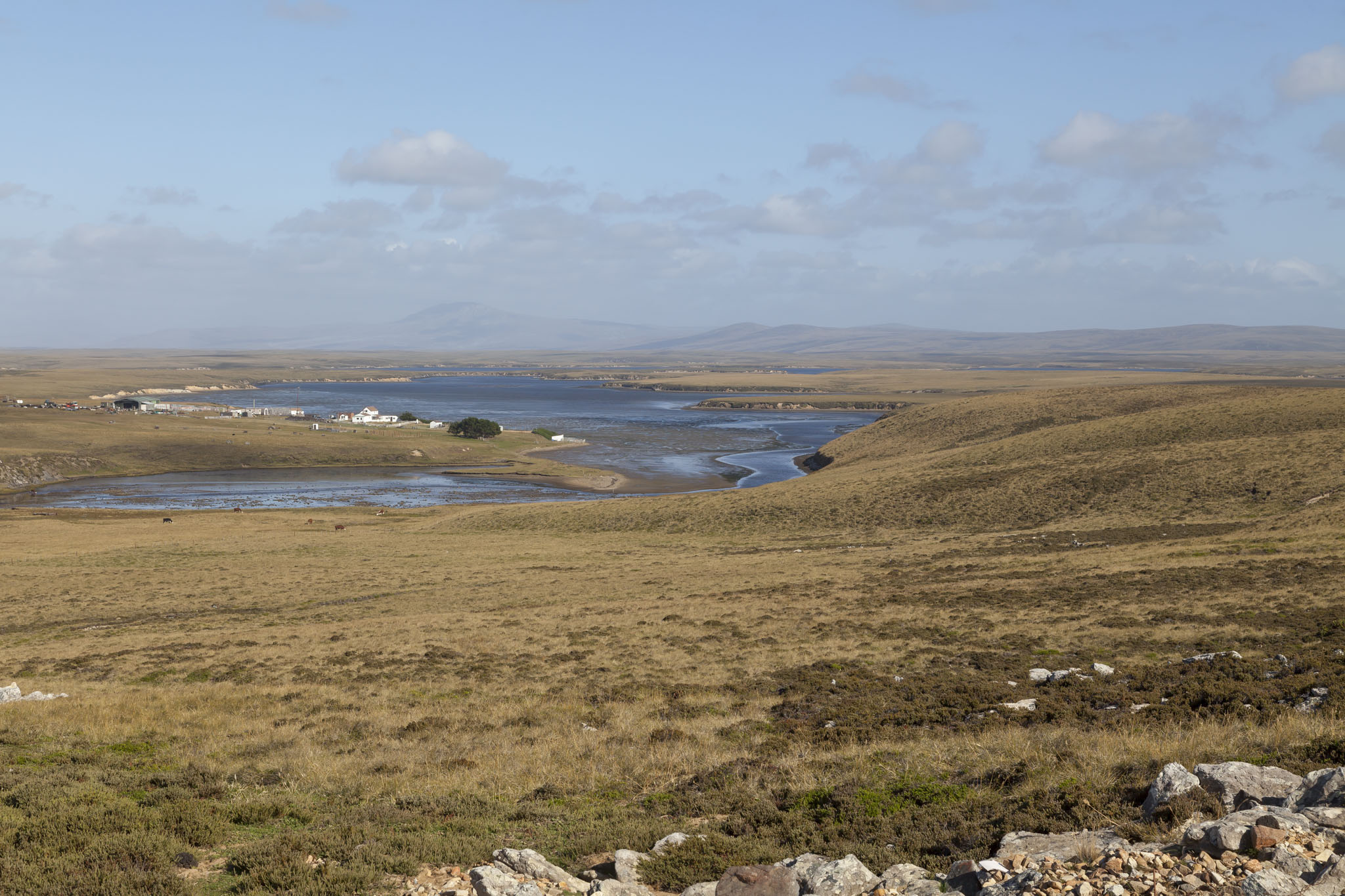 estancia tours falkland islands