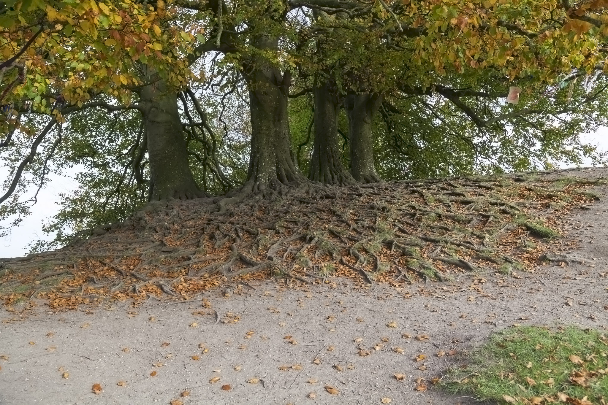 Avebury Stone Circle