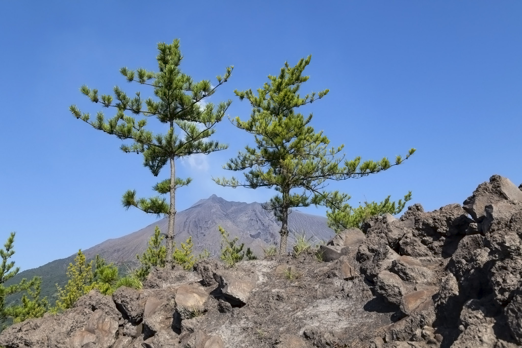 Sakurajima