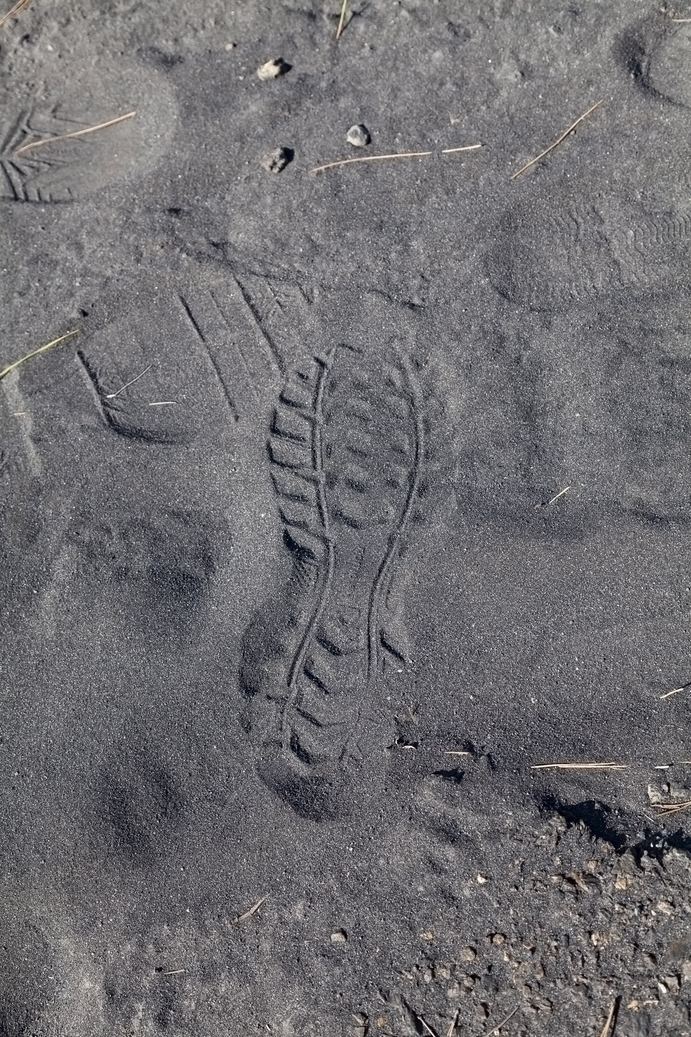 My Footprint In Sakurajima Ash
