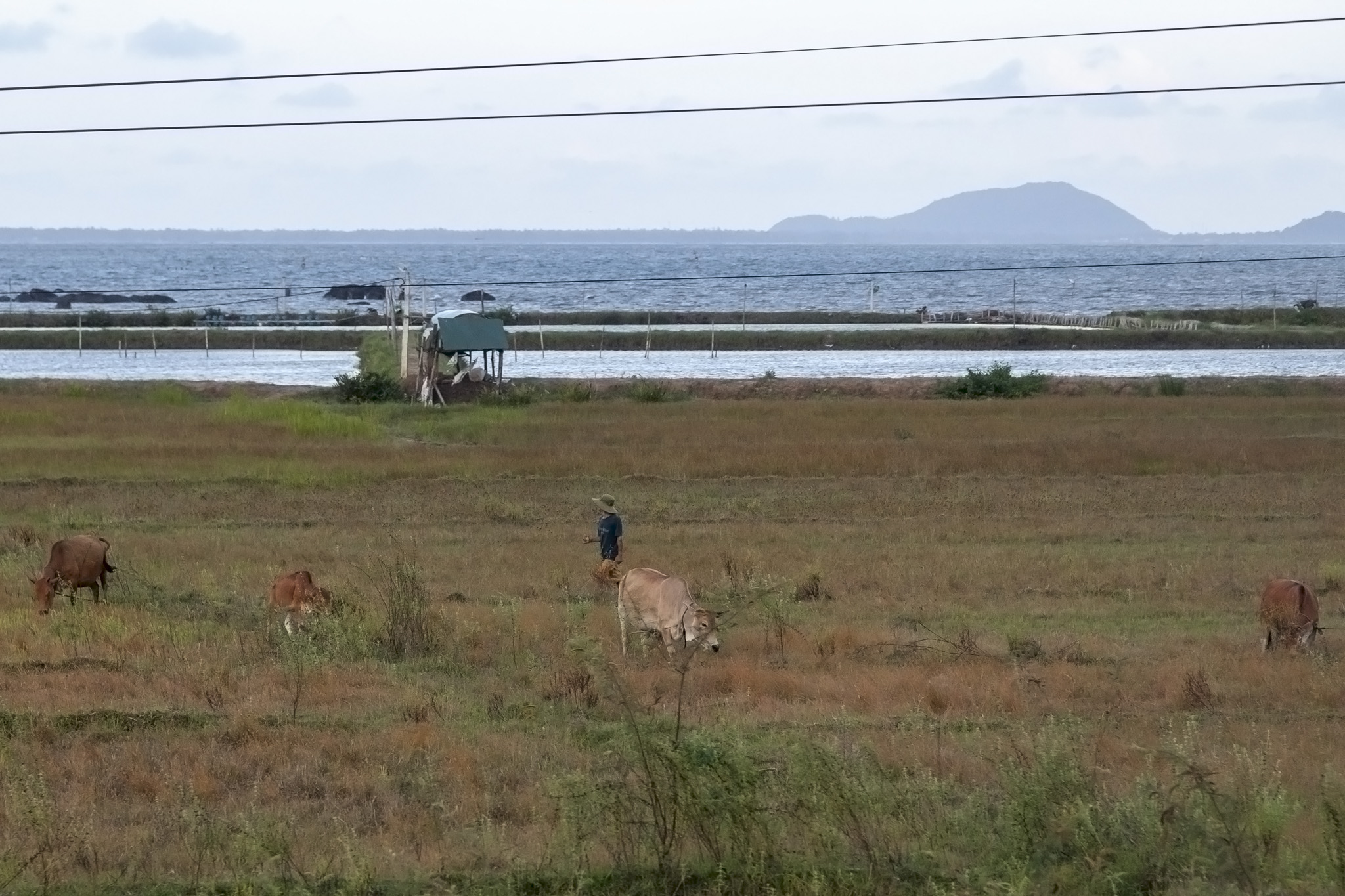 Vietnamese Countryside