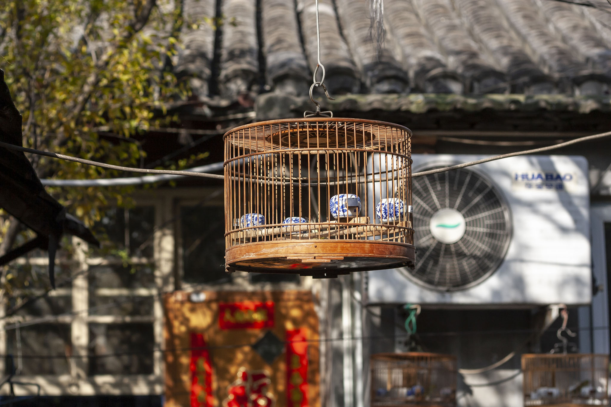 Bird Cage In Courtyard