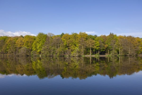 Newmillerdam Country Park, Yorkshire