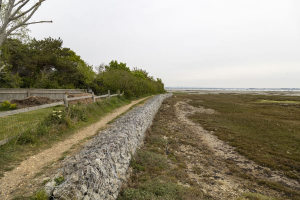 Shoreline Walking Path