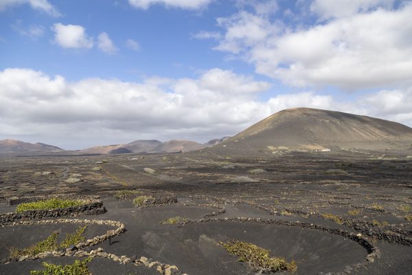 Bodega La Geria, Lanzarote