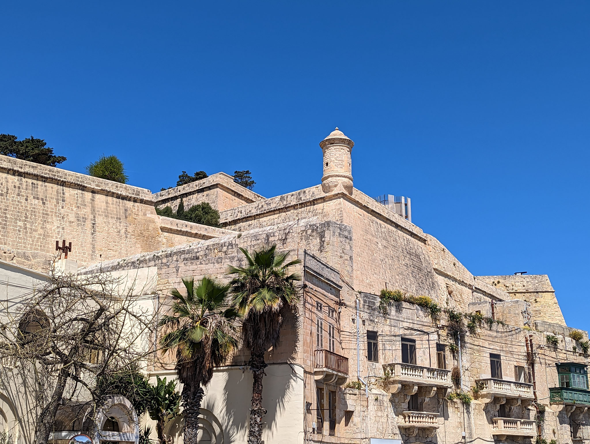 Sandstone-coloured medieval fortifications along the Valletta waterfront. A palm tree in the front and blue sky above lend the image contrast.