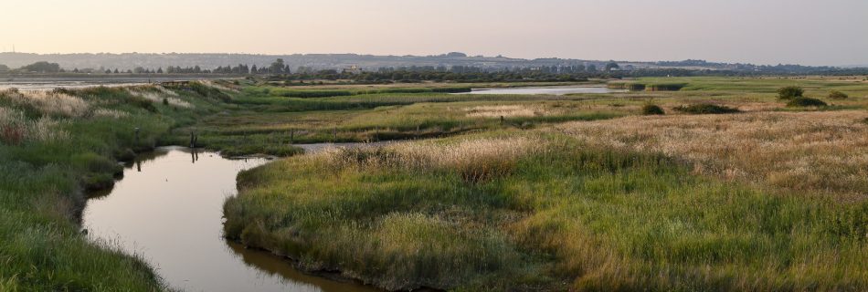 A flat, grassy landscape on a clear evening; weak, warm sun coming in from the left. This is verdant marshland with a curving river running through it and low hills on the horizon.
