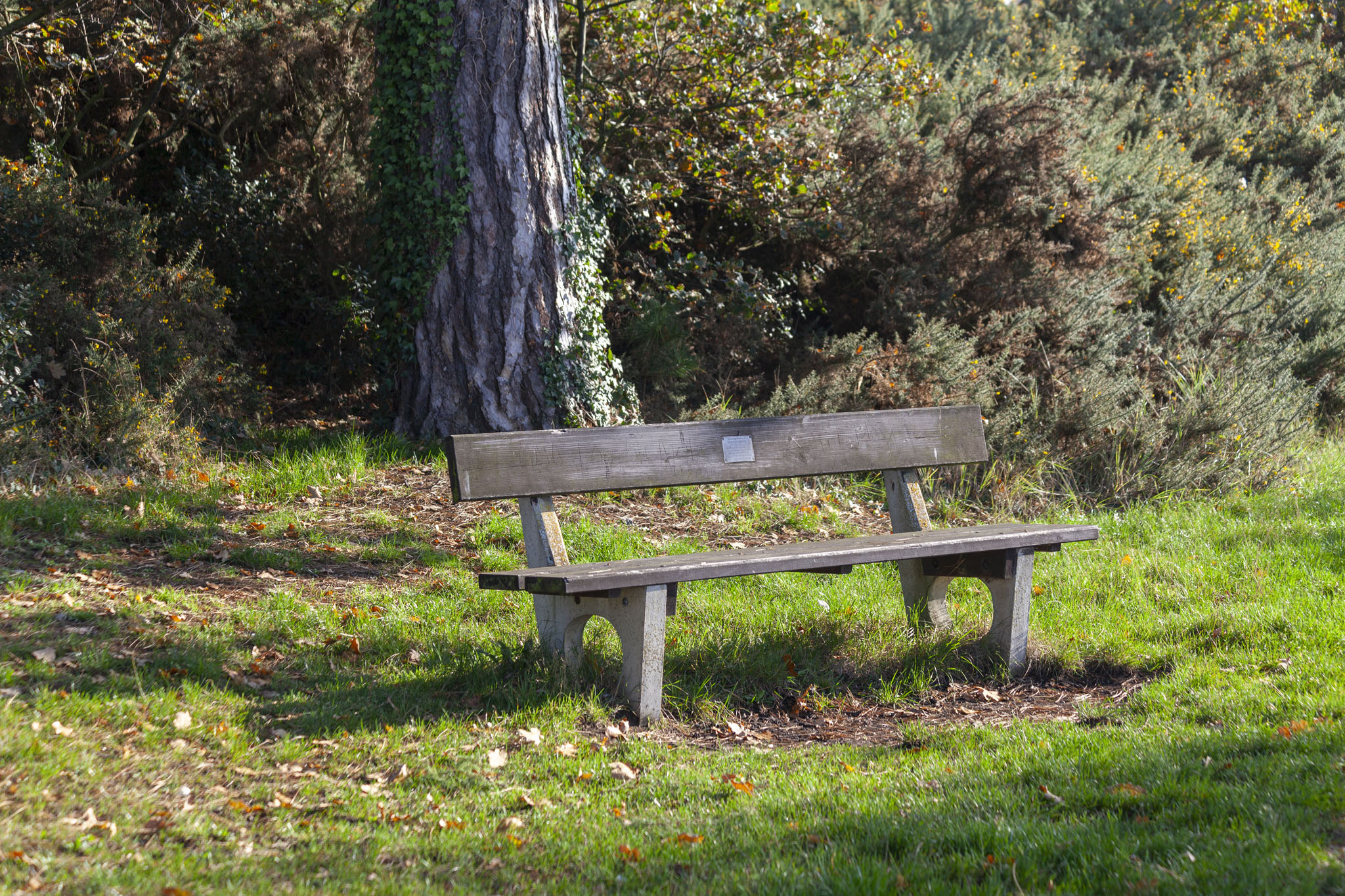 Bench