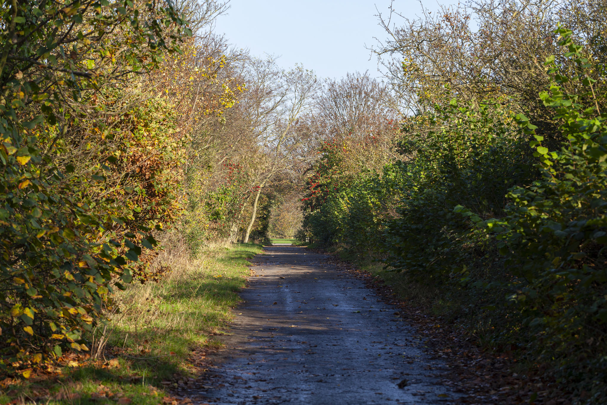 Royal Victoria Country Park
