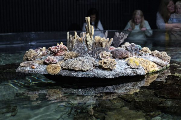 Aquarium, Universeum, Gothenburg