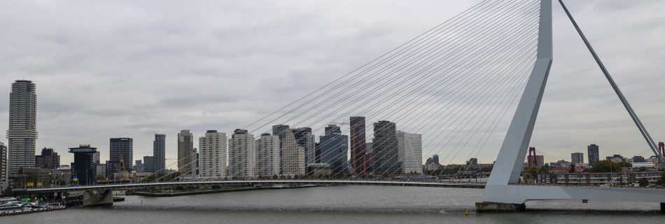 Erasmus Bridge, Rotterdam, Netherlands