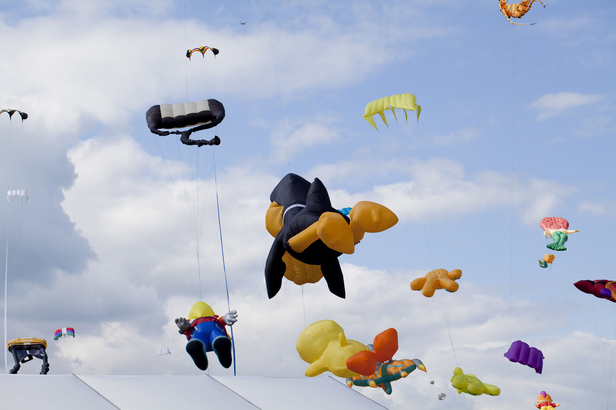 Kites, International Kite Festival